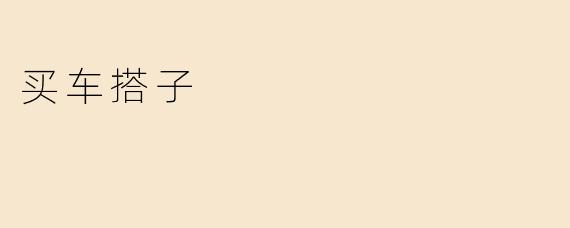 买车搭子