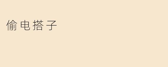 偷电搭子