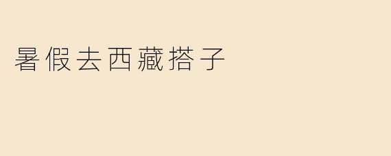 暑假去西藏搭子