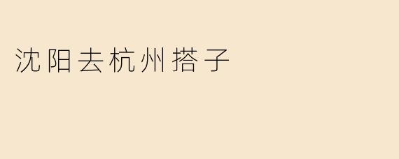 ### 沈阳到杭州的搭子之旅