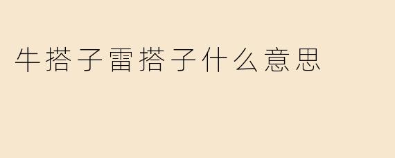 牛搭子雷搭子什么意思