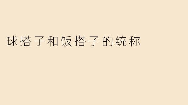 什么是“球搭子”和“饭搭子的统称”？