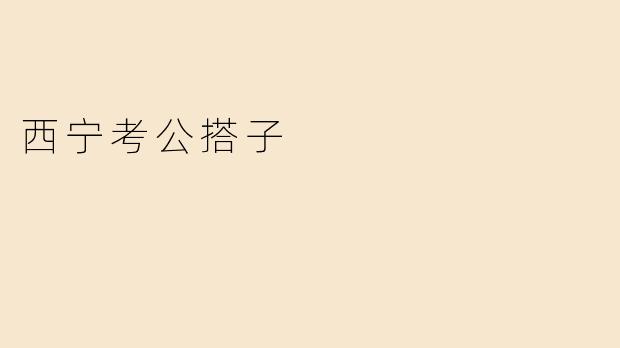 西宁考公搭子