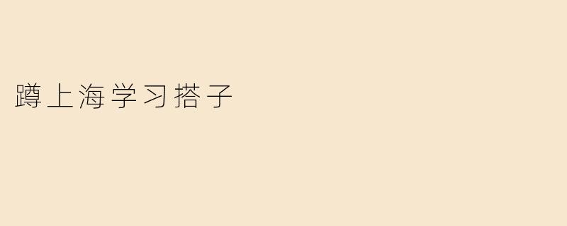 蹲上海学习搭子