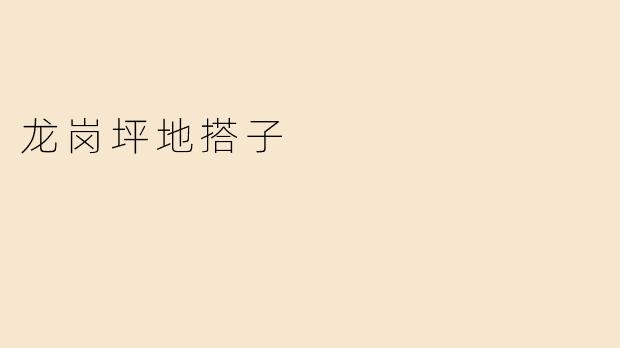 龙岗坪地搭子