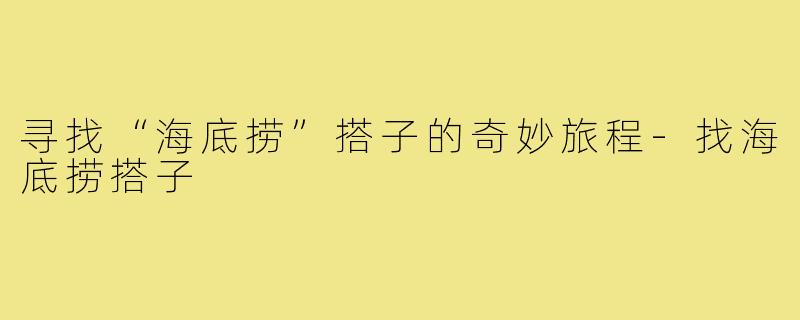 寻找“海底捞”搭子的奇妙旅程-找海底捞搭子