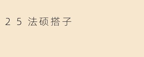 25法硕搭子