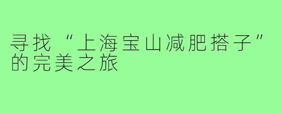 寻找“上海宝山减肥搭子”的完美之旅