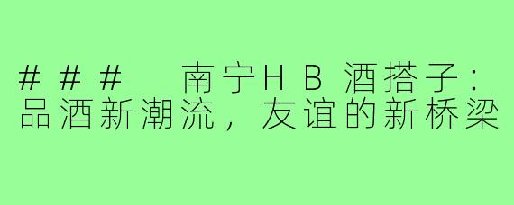 ### 南宁HB酒搭子:品酒新潮流,友谊的新桥梁
