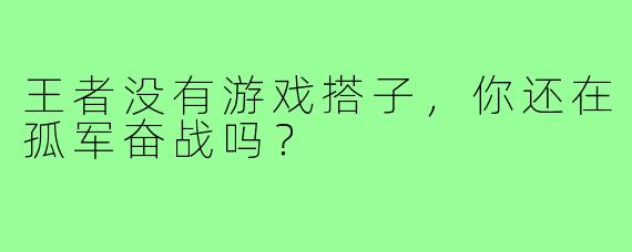 王者没有游戏搭子，你还在孤军奋战吗？