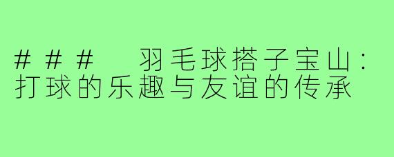 ### 羽毛球搭子宝山:打球的乐趣与友谊的传承