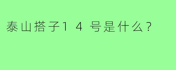 泰山搭子14号是什么？  
