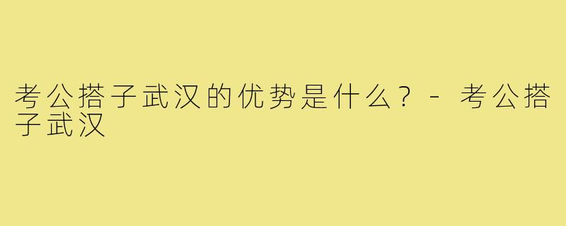 考公搭子武汉的优势是什么？