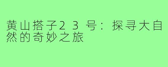 黄山搭子23号：探寻大自然的奇妙之旅