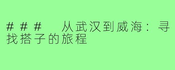 ### 从武汉到威海：寻找搭子的旅程