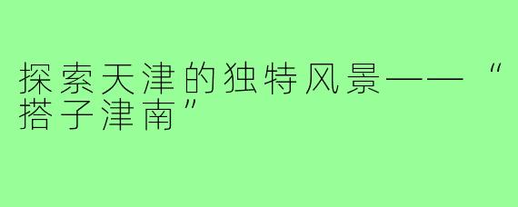 探索天津的独特风景——“搭子津南”