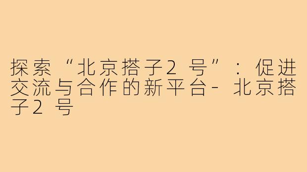 探索“北京搭子2号”：促进交流与合作的新平台-北京搭子2号