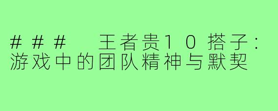 ### 王者贵10搭子:游戏中的团队精神与默契
