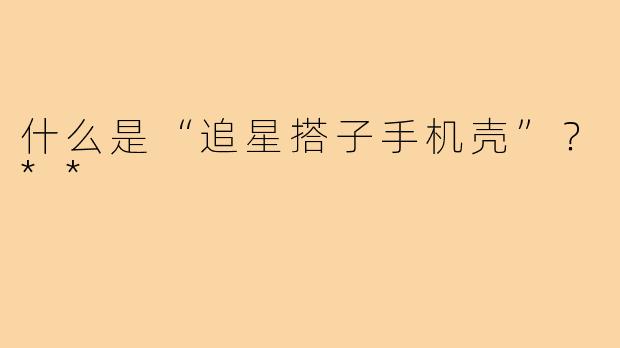 什么是“追星搭子手机壳”？**