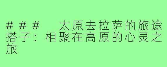 ### 太原去拉萨的旅途搭子:相聚在高原的心灵之旅