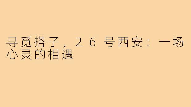 寻觅搭子,26号西安:一场心灵的相遇
