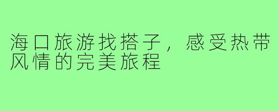 海口旅游找搭子,感受热带风情的完美旅程