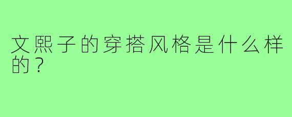 文熙子的穿搭风格是什么样的?