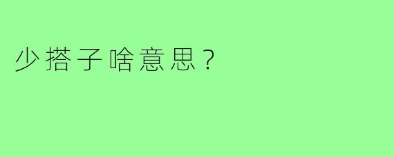 少搭子啥意思？  