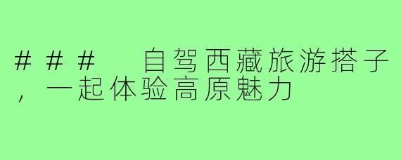 ### 自驾西藏旅游搭子，一起体验高原魅力
