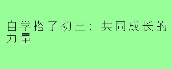 自学搭子初三:共同成长的力量