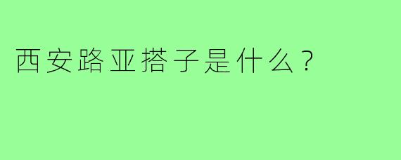 西安路亚搭子是什么?