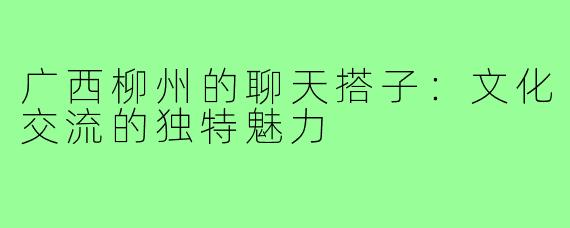 广西柳州的聊天搭子:文化交流的独特魅力