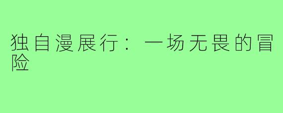 独自漫展行：一场无畏的冒险