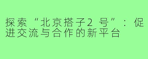 探索“北京搭子2号”：促进交流与合作的新平台