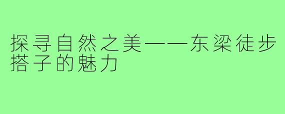 探寻自然之美——东梁徒步搭子的魅力