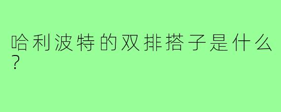 哈利波特的双排搭子是什么？  