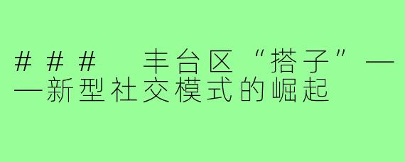 ### 丰台区“搭子”——新型社交模式的崛起