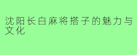 沈阳长白麻将搭子的魅力与文化