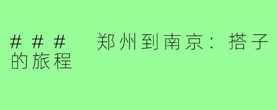 ### 郑州到南京:搭子的旅程