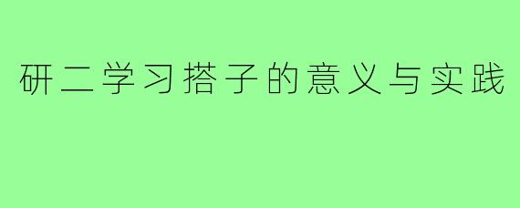研二学习搭子的意义与实践
