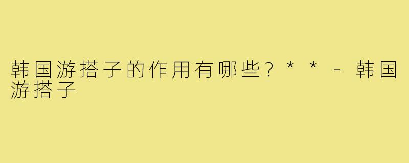 韩国游搭子的作用有哪些？**