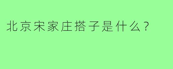 北京宋家庄搭子是什么？