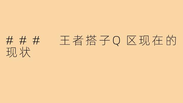 ### 王者搭子Q区现在的现状