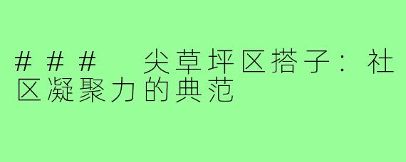 ### 尖草坪区搭子:社区凝聚力的典范
