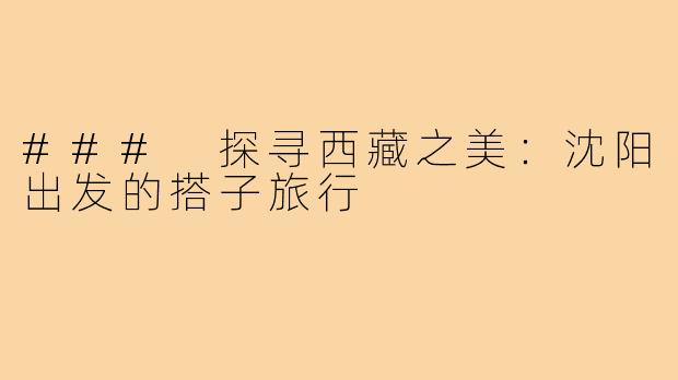 ### 探寻西藏之美:沈阳出发的搭子旅行
