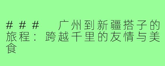 ### 广州到新疆搭子的旅程:跨越千里的友情与美食