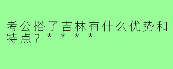 考公搭子吉林有什么优势和特点？****