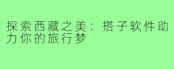 探索西藏之美：搭子软件助力你的旅行梦