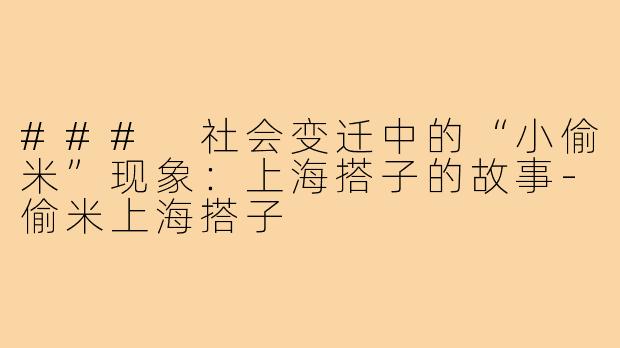 ### 社会变迁中的“小偷米”现象:上海搭子的故事-偷米上海搭子