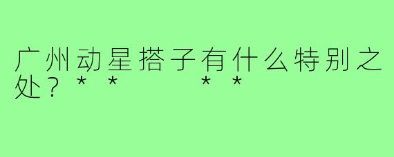 广州动星搭子有什么特别之处？**  **